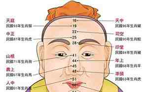 面相纹痕痣疤痕图解