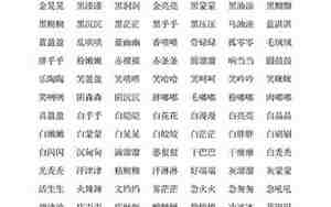 文字组词的名字大全男孩