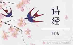 诗经中最唯美的名字女1988年7月生
