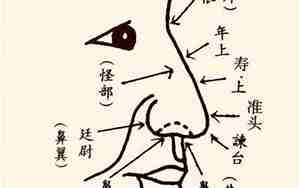 阴沟鼻子的人怎么样