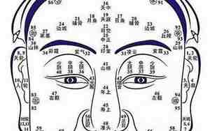 面相学中左耳下垂是什么