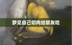 梦见把肉给别人吃