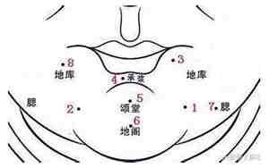 下巴是奴仆宫吗?