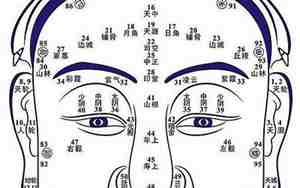 面相算命免费
